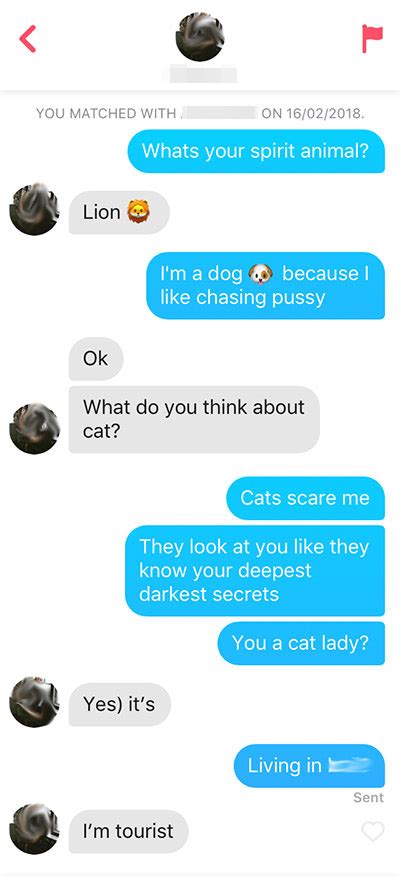 tinder girl|What to Say to a Girl on Tinder with 30+ Screenshot Examples